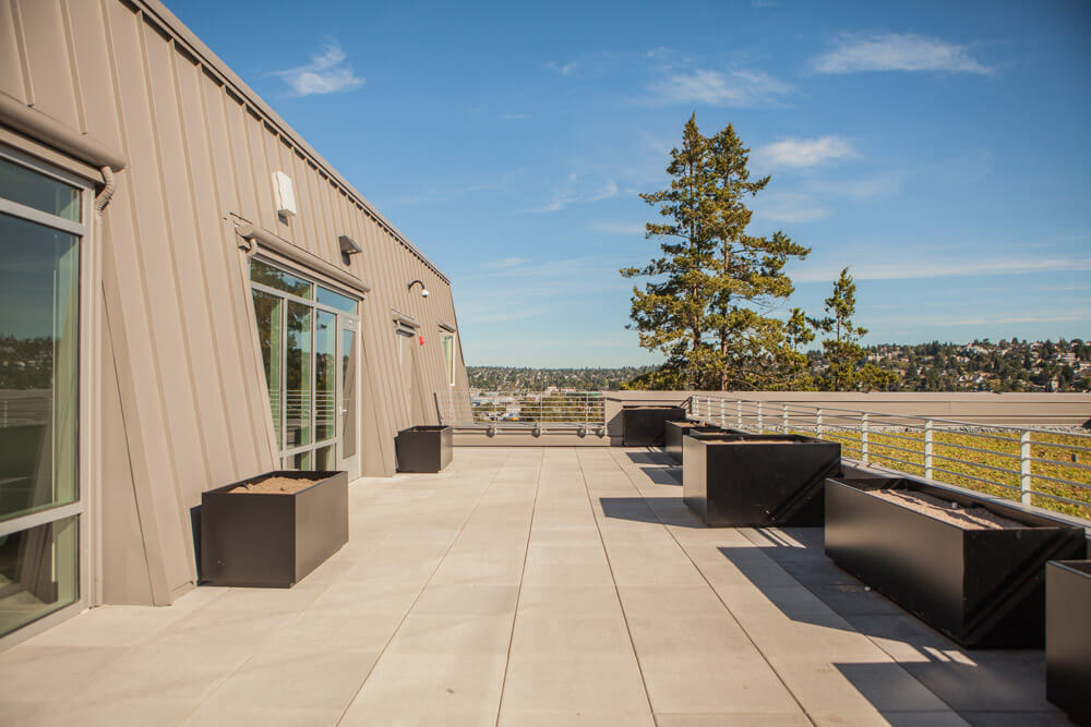pic of SPU roof garden