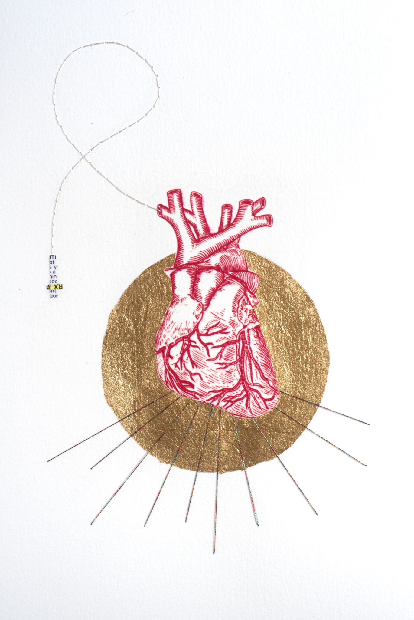 issue-118-image-journal