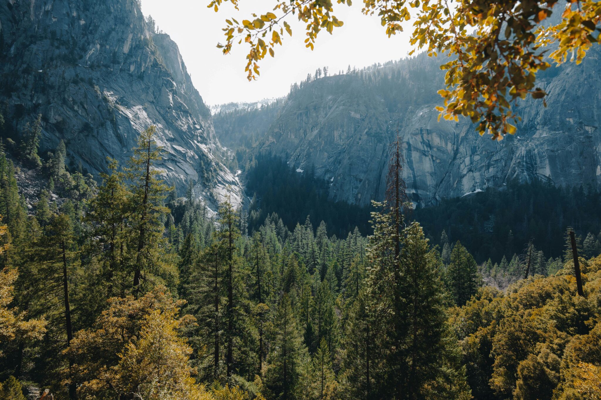 Alternative Country - Image Journal