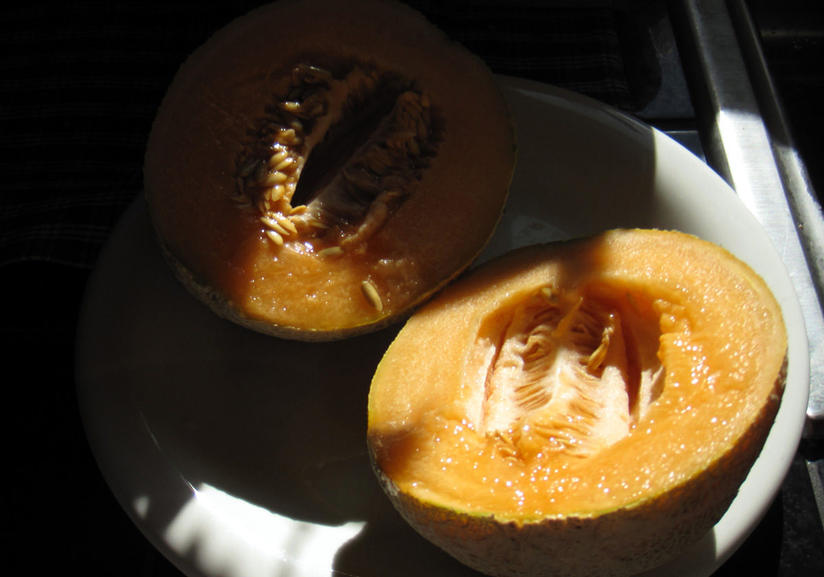 cantaloupe by Karen and Brad Emerson on flickr3