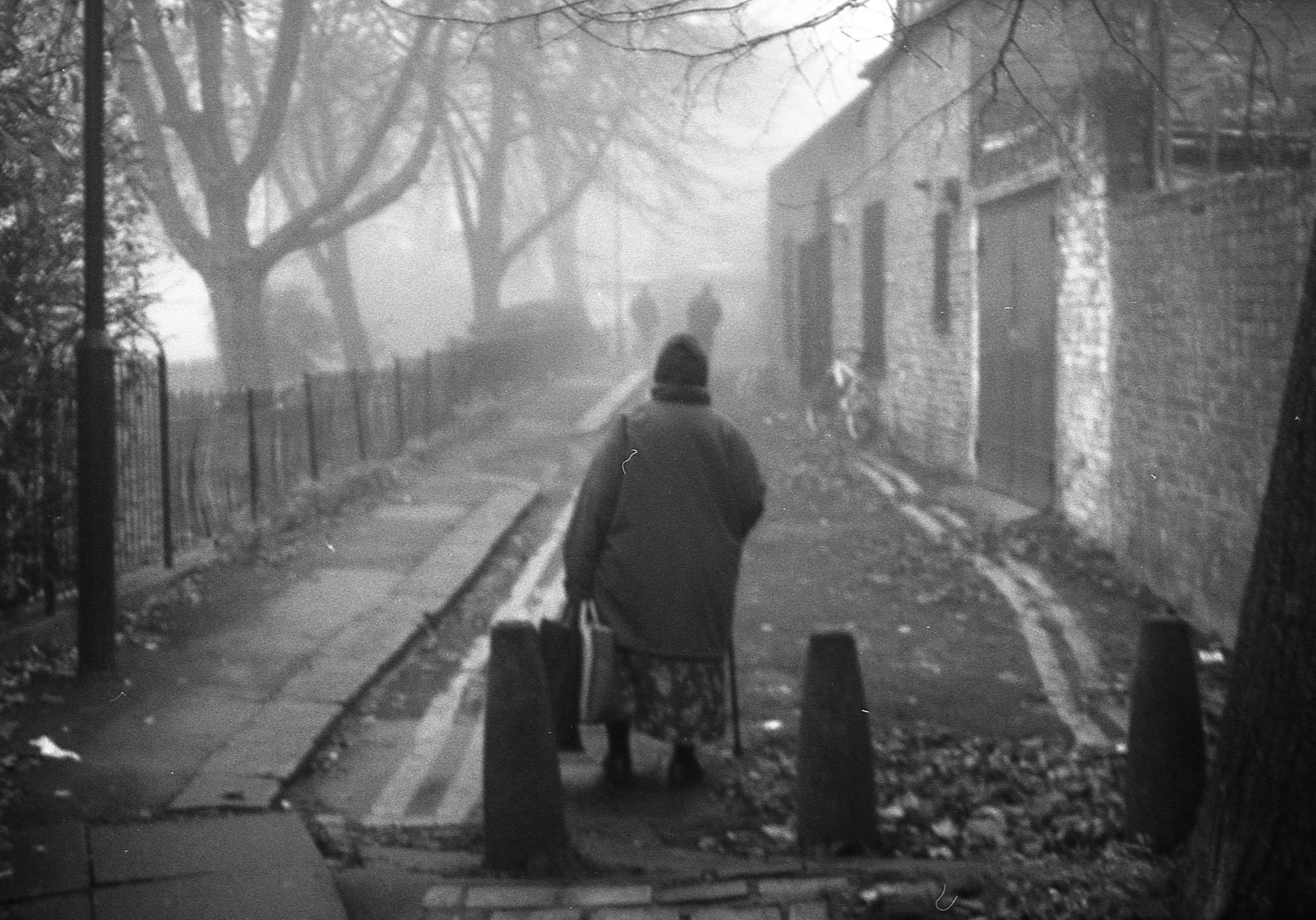 image of an old woman in a big jacket and a woolen cap on her head, turned away from the camera, walking down an old cobblestone street. to her left side is a line of trees, to her right a streak of old houses. fog smears the whole image.